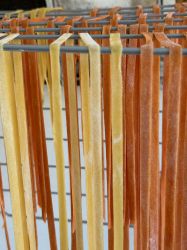 X2025 Fotostafette 1